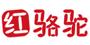 红骆驼网